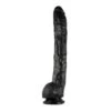 Dick Rambone Cock 42 X 6cm
