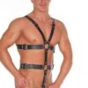 Lederharness Mit 2 Penisringen, Schwarz