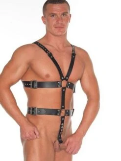 Lederharness Mit 2 Penisringen, Schwarz