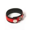 Black Label 3 Snap Leather Cock Ring: Penis- Und Hodenriemen, Schwarz/rot