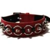 Leder Halsband SPIKES Red
