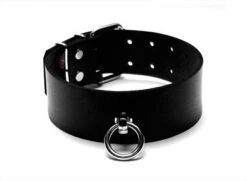 Leder Halsband Mit Ring Der O - BREIT